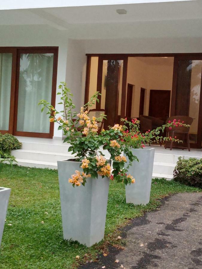 Colibri Villa Maggona Extérieur photo