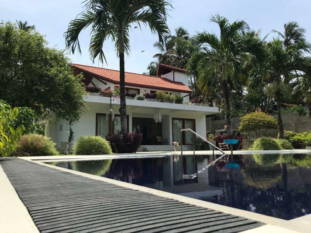 Colibri Villa Maggona Extérieur photo